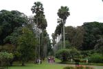 srilanka070