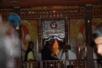 srilanka084