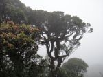 srilanka091