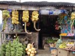 srilanka094