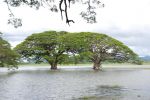 srilanka117