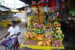 srilanka118