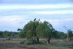srilanka137