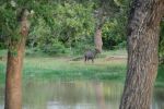 srilanka145