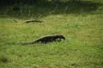 srilanka162