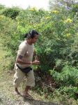 srilanka165