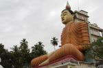 srilanka179
